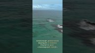 АЛЕКСАНДР ДОМОГАРОВ РАССКАЗЫВАЕТ, КАК СНИМАЛИ ОПАСНЫЕ СЦЕНЫ ДЛЯ РЕАЛИТИ-ШОУ «ПОСЛЕДНИЙ ГЕРОЙ»
