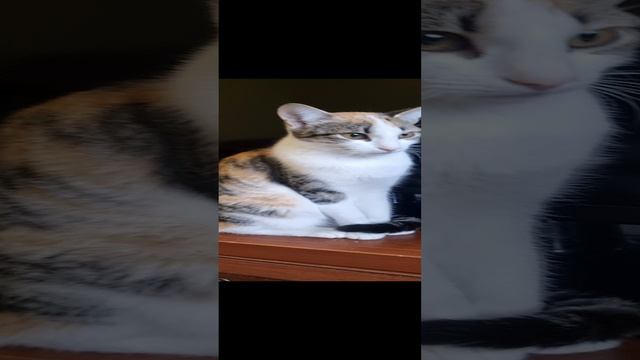 1000147143.mp4