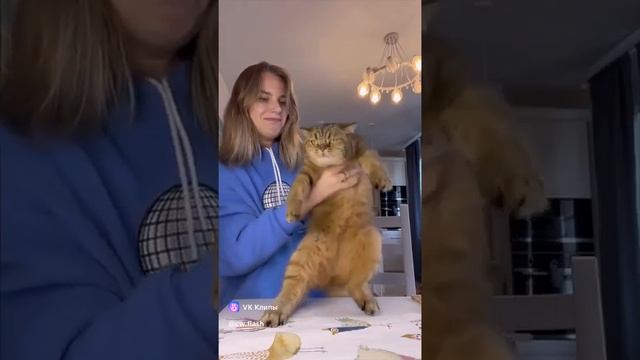 Подписывайтесь на мой канал и ставьте лайки моим видео. Мне нужна ваша поддержка!🙏🙏❤️