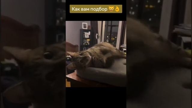 юмор подборка😂😂