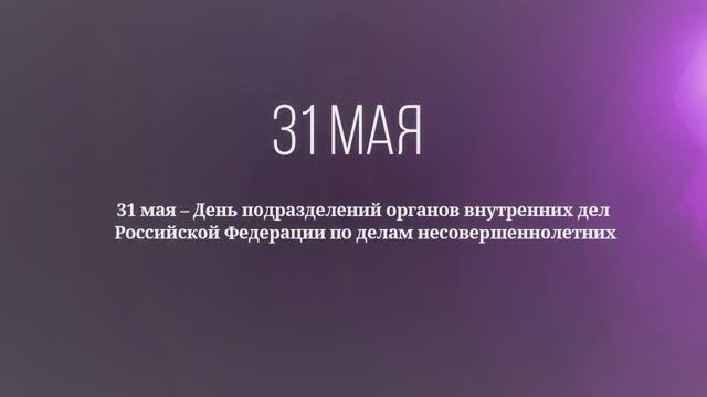 День подразделений органов внутренних дел по делам несовершеннолетних