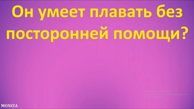 КУНДАЛИКДА ЭНГ КЕРАКЛИ УМЕТЬ ФЕЪЛИ || +7(901)171-24-74 || ОНЛАЙН ДАРСЛАР