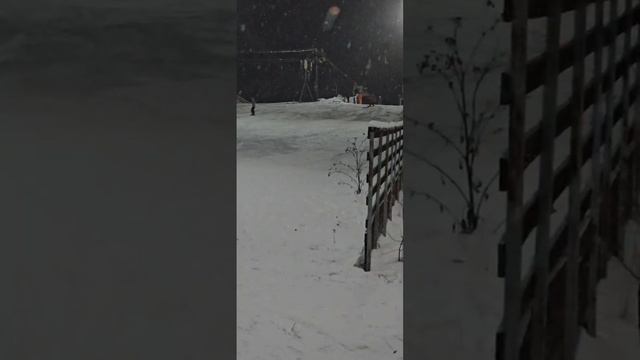 ⛷️✨💪