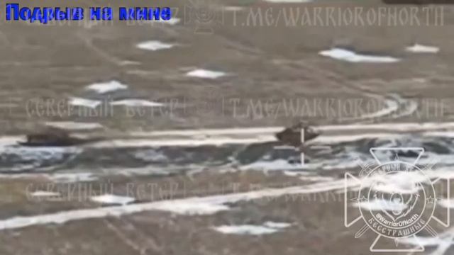 Попытка прорыва ВСУ на курском направлении пресечена, основные силы противника уничтожены у Бердина,