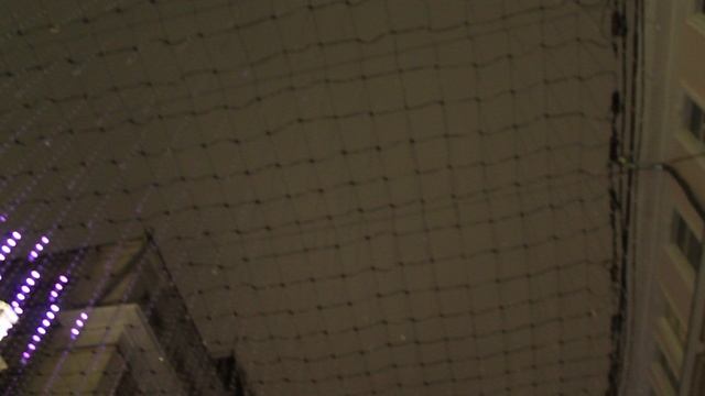 Путешествие в Рождество 04.01.25 (5)