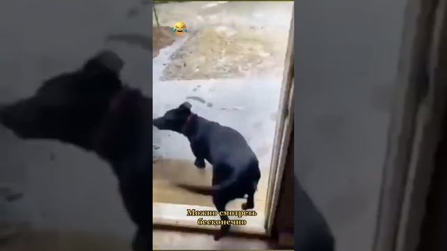 Можно смотреть бесконечно 😄
