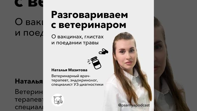 Разговариваем с ветеринаром о вакцинах, глистах и поедании травы