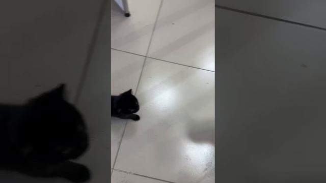 Милый