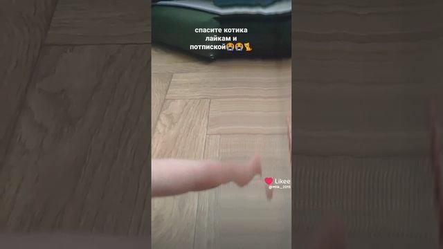 Like_7456381943711465565.mp4