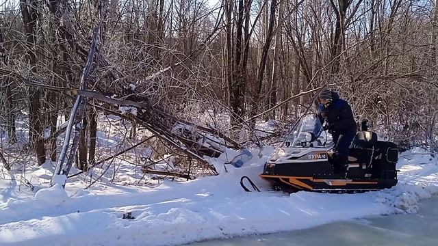 Дорога в солнечную тайгу