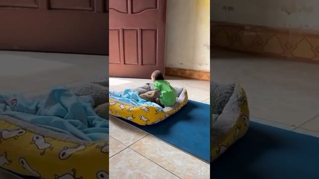 Какие они классные, а обезьянка такая заботливая.