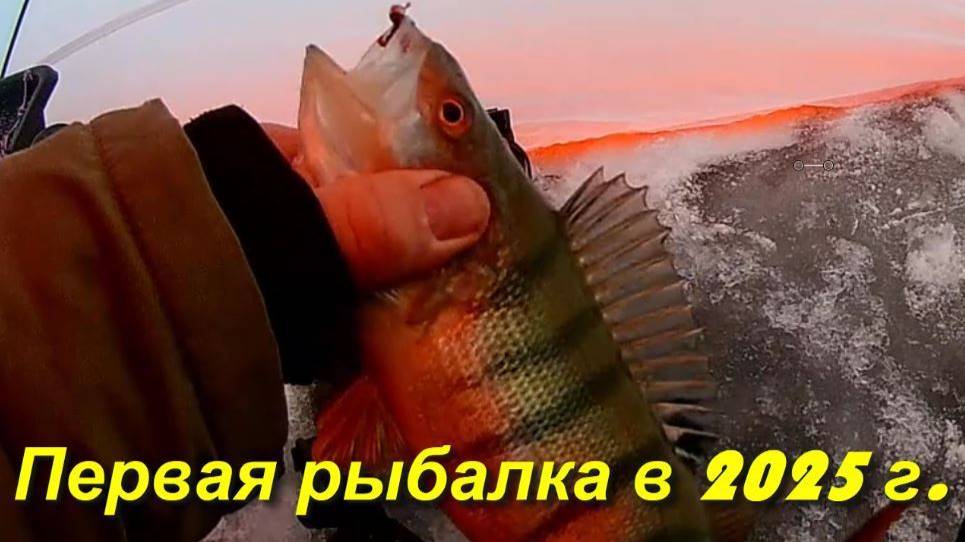 Первая рыбалка в 2025 г