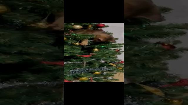 1000020444.mp4