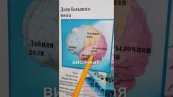Кто и за что отвечает?