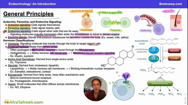 General Principles Renal