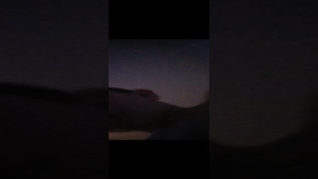 1000033570.mp4