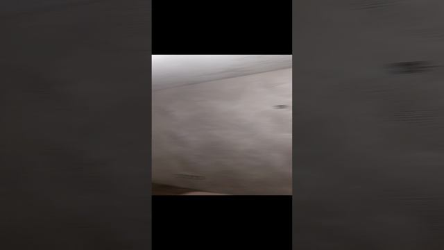 1000009628.mp4 Рус строй Руслан ремонт квартир 89608251596
