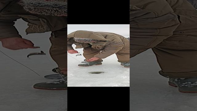 1000017909.mp4