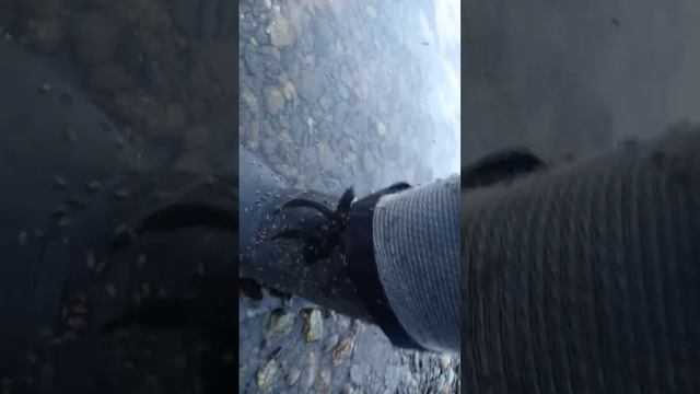 По речке Собь
https://rutube.ru/video/f50857d5d7dd2db8fb35e665cabafbdb/