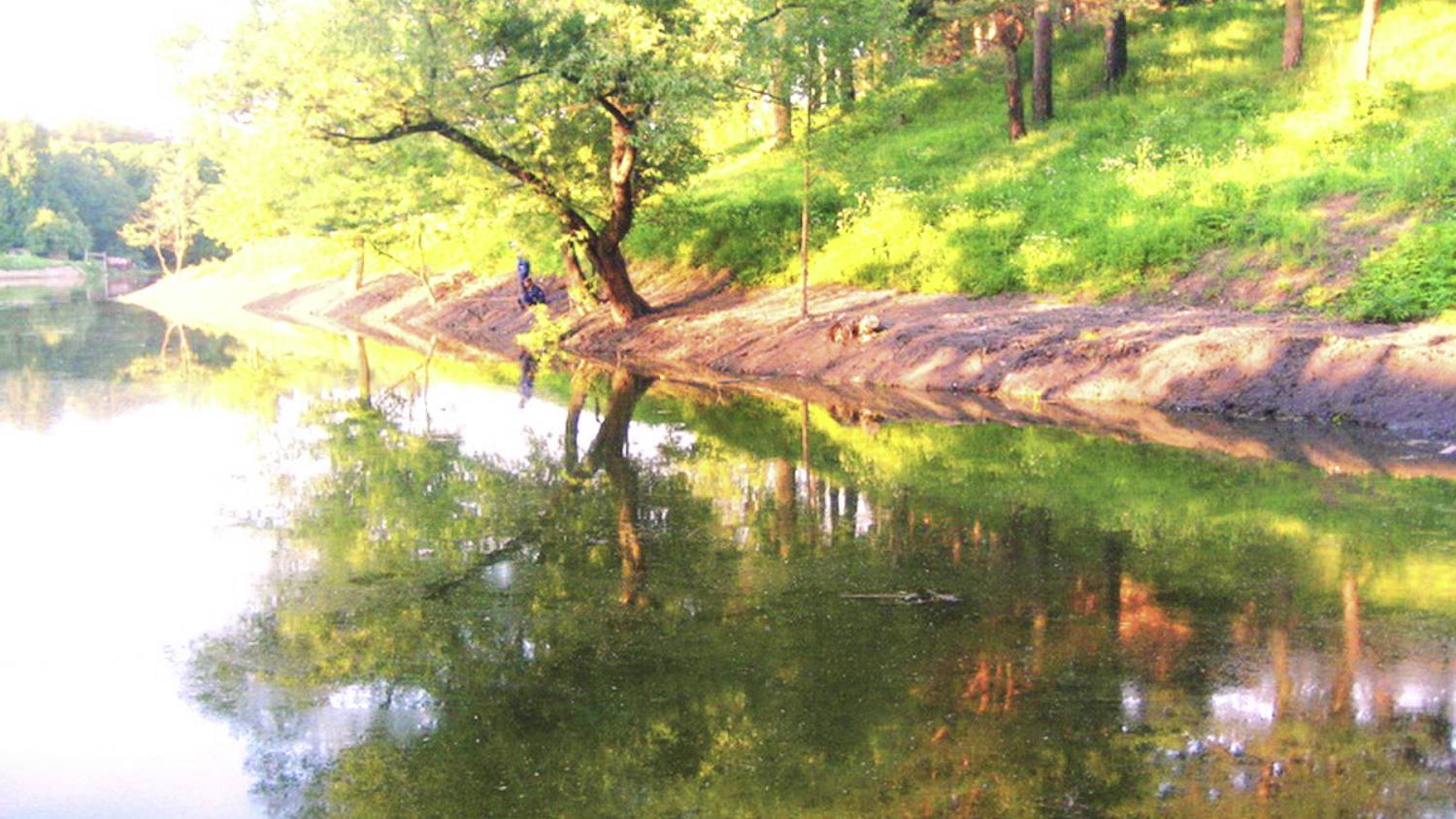 ЖК Суханово Парк. Очистка пруда и создание острова