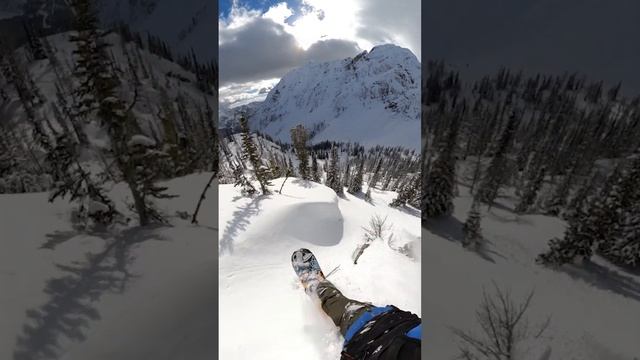 Travis Rice glides through the Trees in Alaska