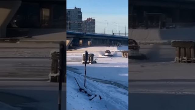 В Петербурге спасли собаку,выбежавшую на лёд