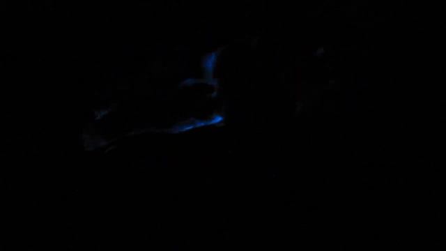 luminol hand a