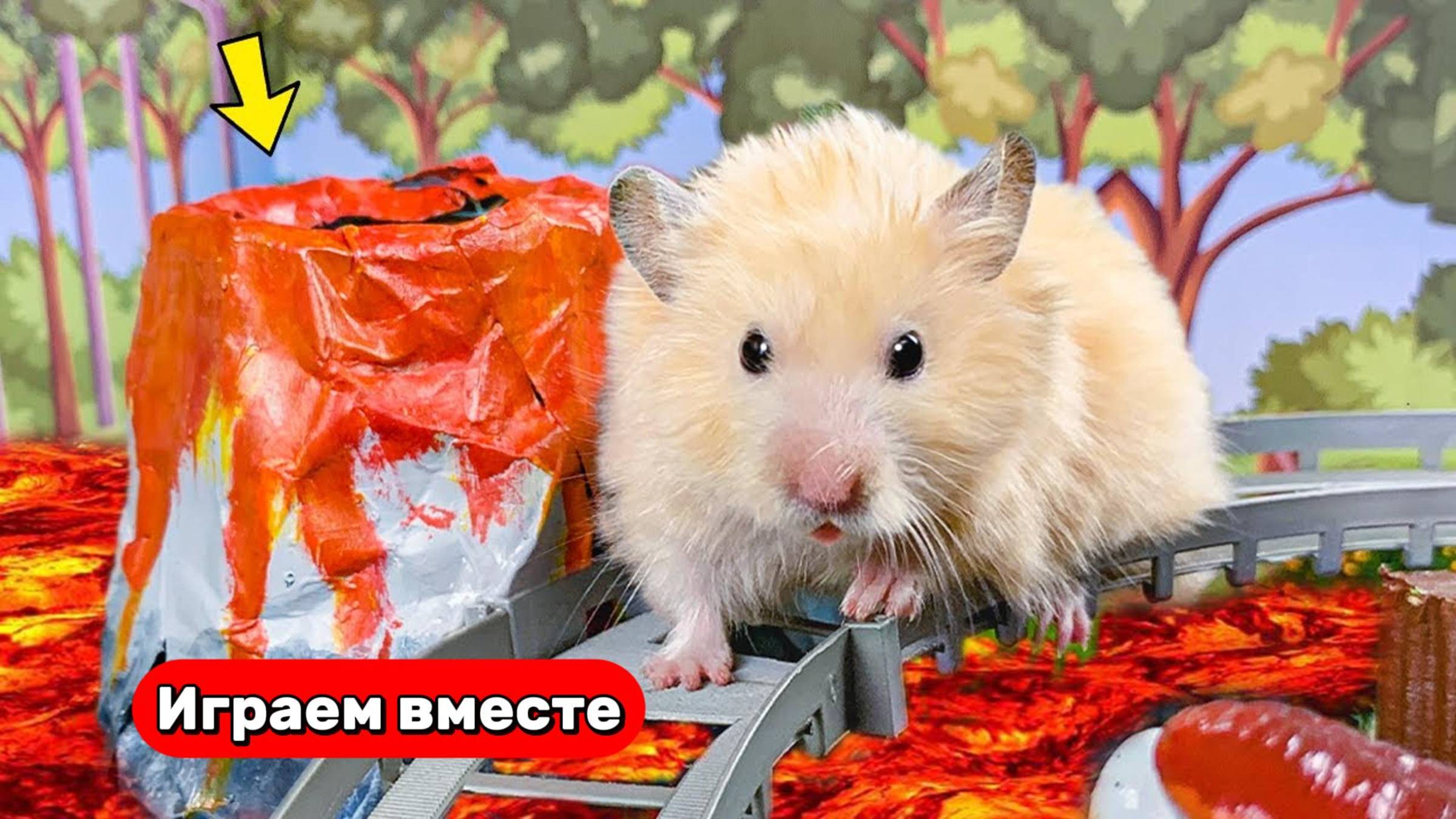 Хомяк сбегает из ВУЛКАНА С ЛОВУШКАМИ 🐹 Видео для детей