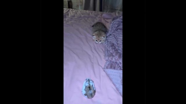 Охотник