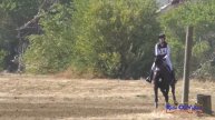 014XC Megan McIver Sabo on Kapitan Sparrow XII CCI2* Short Cross Country Twin Rivers Ranch Sept 202