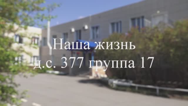Жизнь дс 377