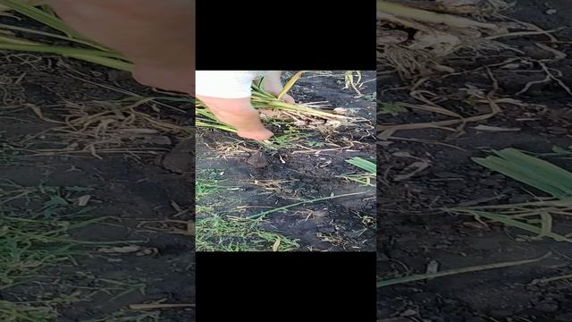 1000000725.mp4
