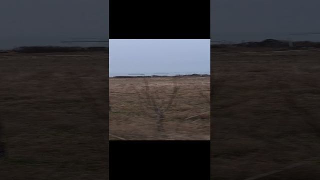 Флот