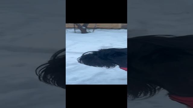 1000054905.mp4