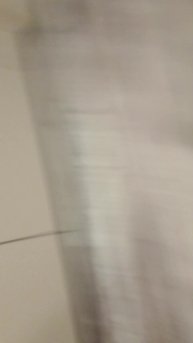 ночёвка у Димы