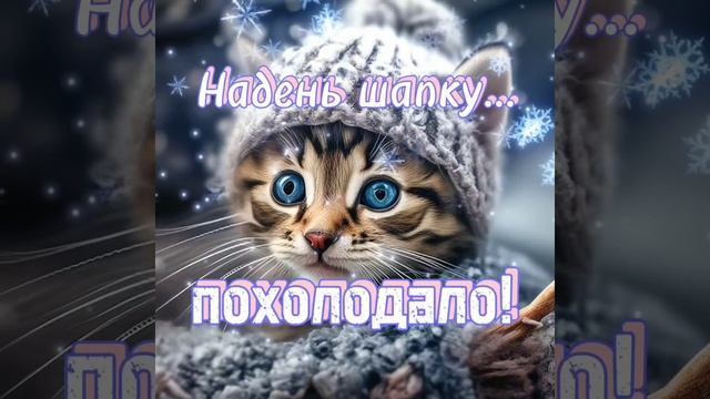 Похолодало. Надень шапку