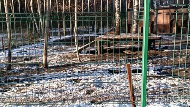 Посетил Белгородский зоопарк 5 января  2025 года.