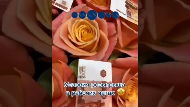 1000046613.mp4