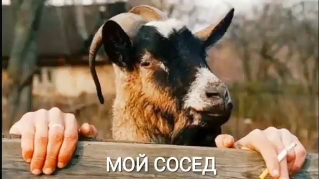 Россию умом не понять!