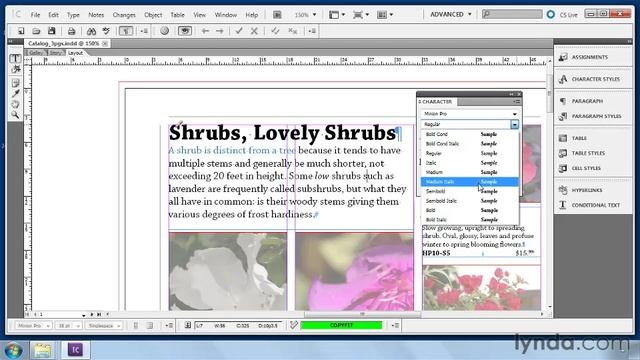 0502 Applying local character formatting
