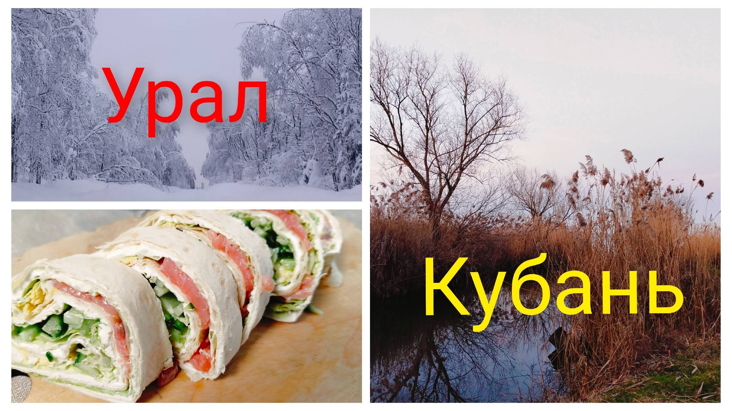 Золотая неделя.Икра окуня.Рулет с сёмгой.Собачья дивизия.