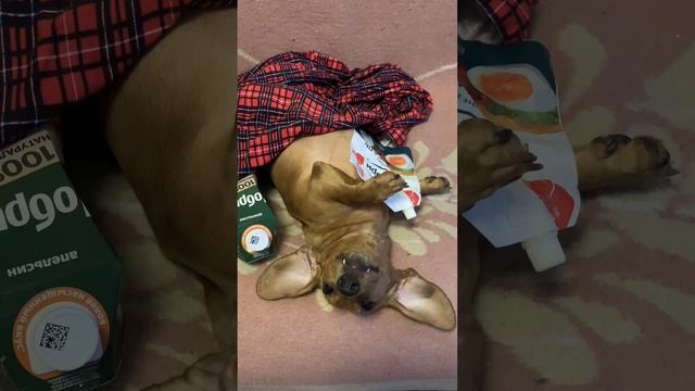 Когда застолье подошло к концу