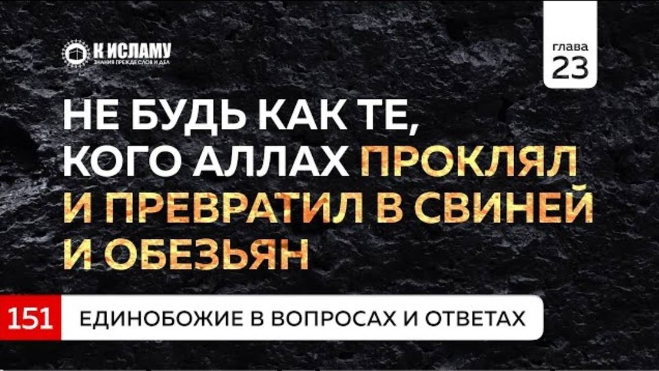 Вопрос 151. Не будь как те, кого Аллах проклял и превратил в свиней и обезьян  Ринат Абу Мухаммад