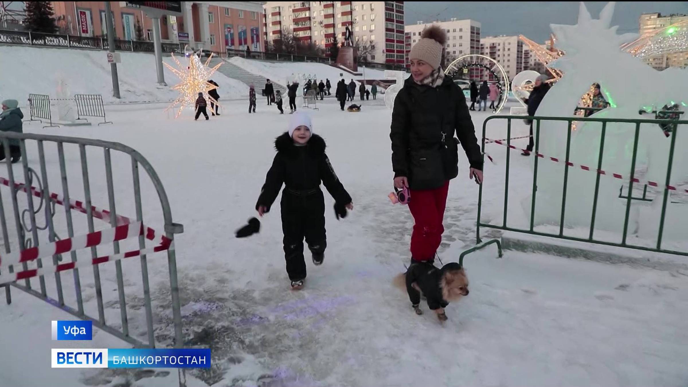 В Уфе в январские дни выросло число потерявшихся собак и кошек