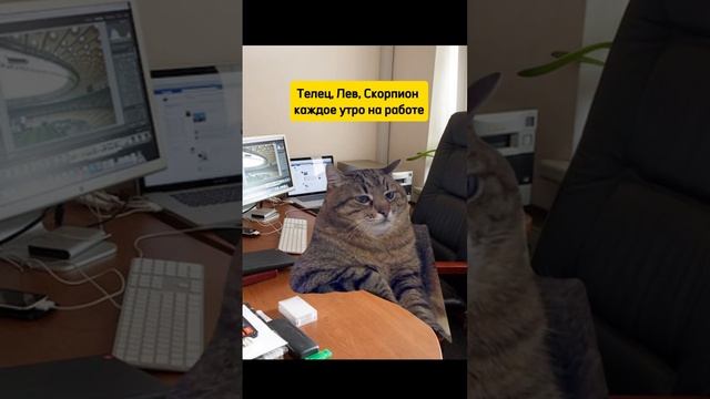 Телец Лев Скорпион на работе
#телец #лев #скорпион #юмор #прикол #знаки зодиака