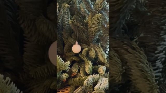 Скоро Новый год