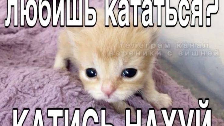 Как жарко у этих батарей 🥱😮💨🥴nyan.mp3