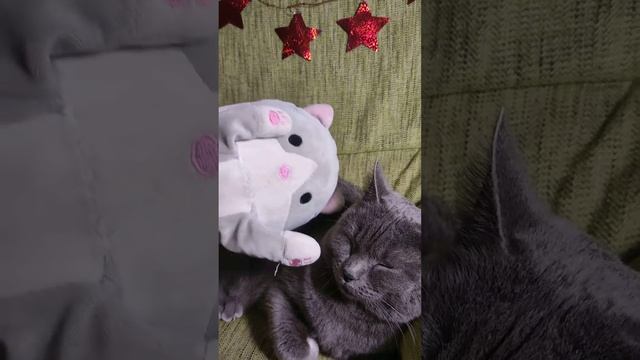 кто любит бутерброды