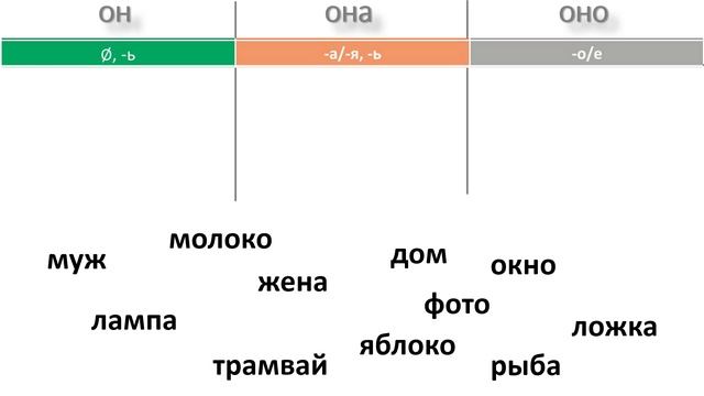 Урок 5.1 Род существительных