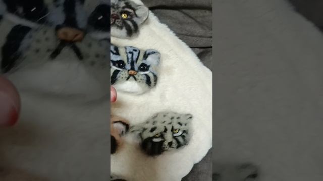 Манул. Моя авторская работа. Шерсть.